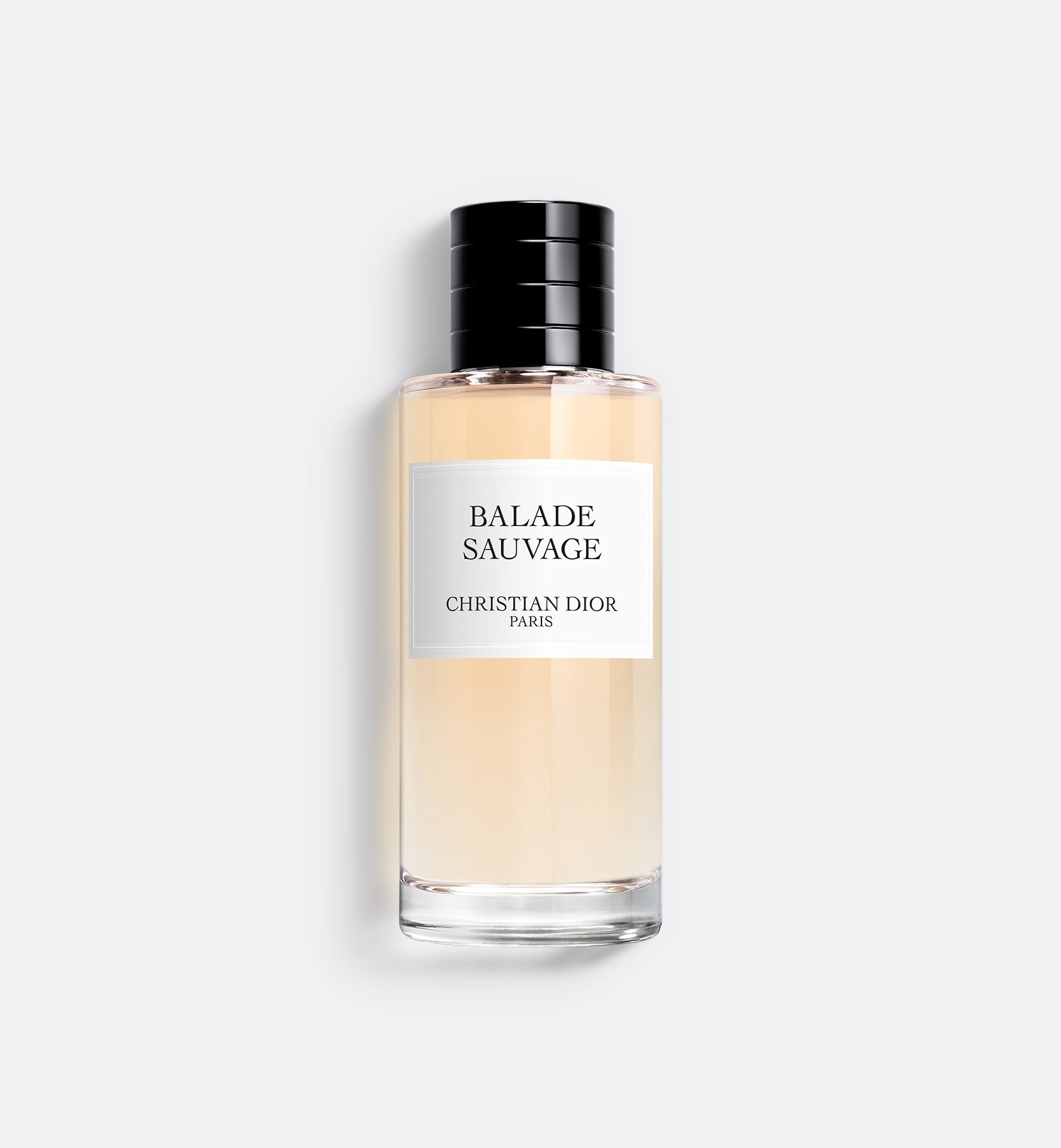 Dior Balade Sauvage Eau de Parfum 125ml