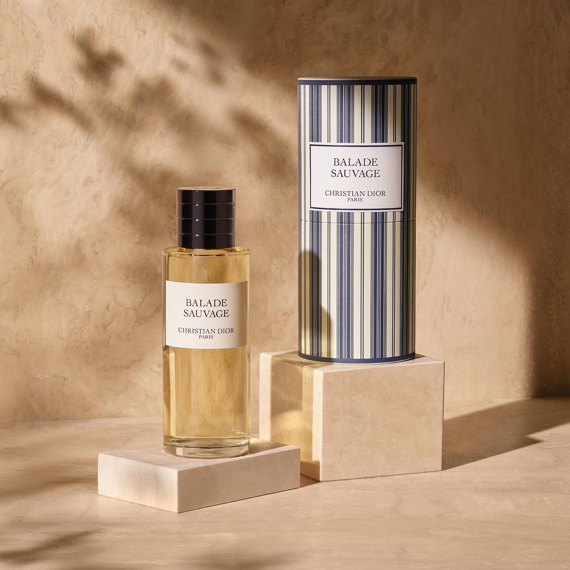 Dior Balade Sauvage Eau de Parfum 125ml