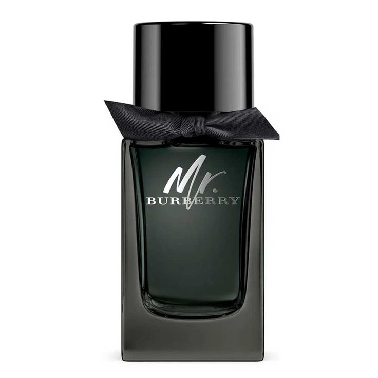 Mr. Burberry Eau de Toilette 100ml