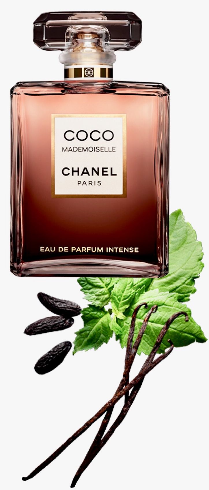 COCO MADEMOISELLE - Eau de Parfum Intense Spray