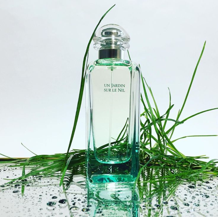 Hermès Un Jardin Sur Le Nil