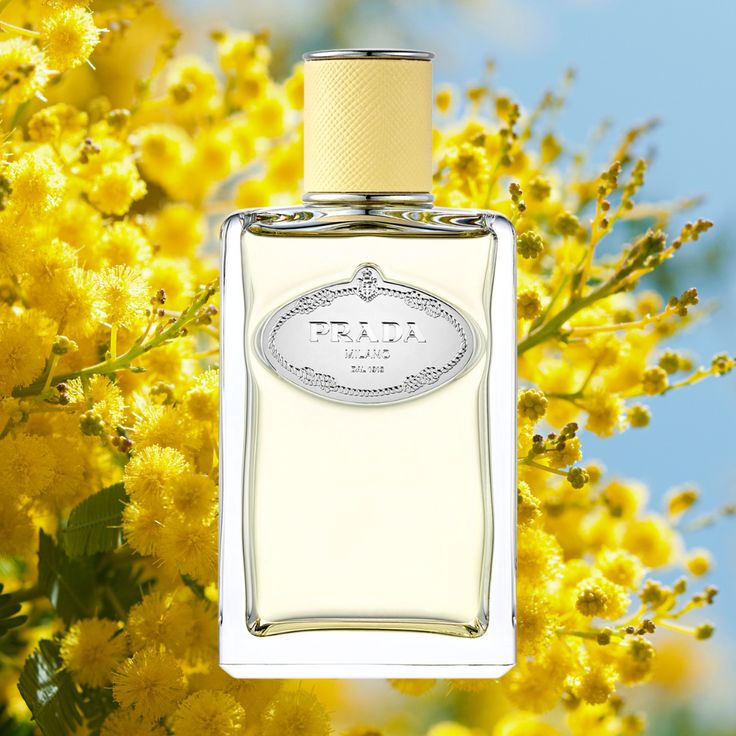 Prada Les Infusions Mimosa Eau de Parfum 100ml