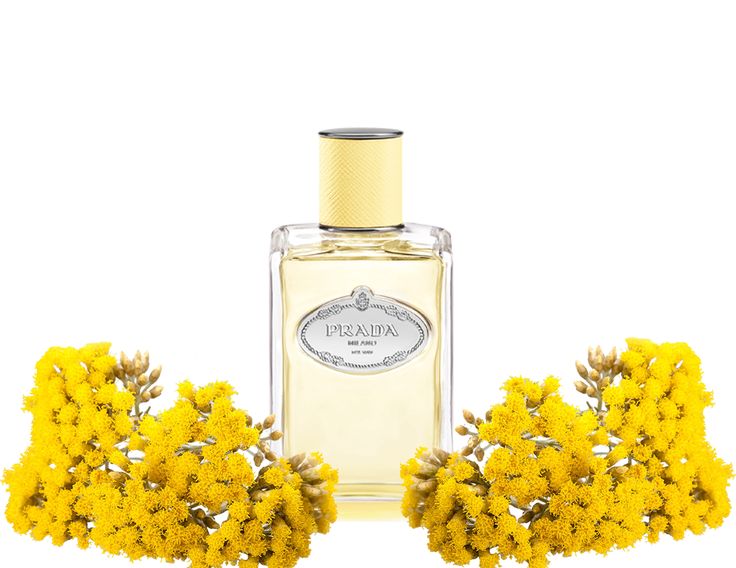 Prada Les Infusions Mimosa Eau de Parfum 100ml