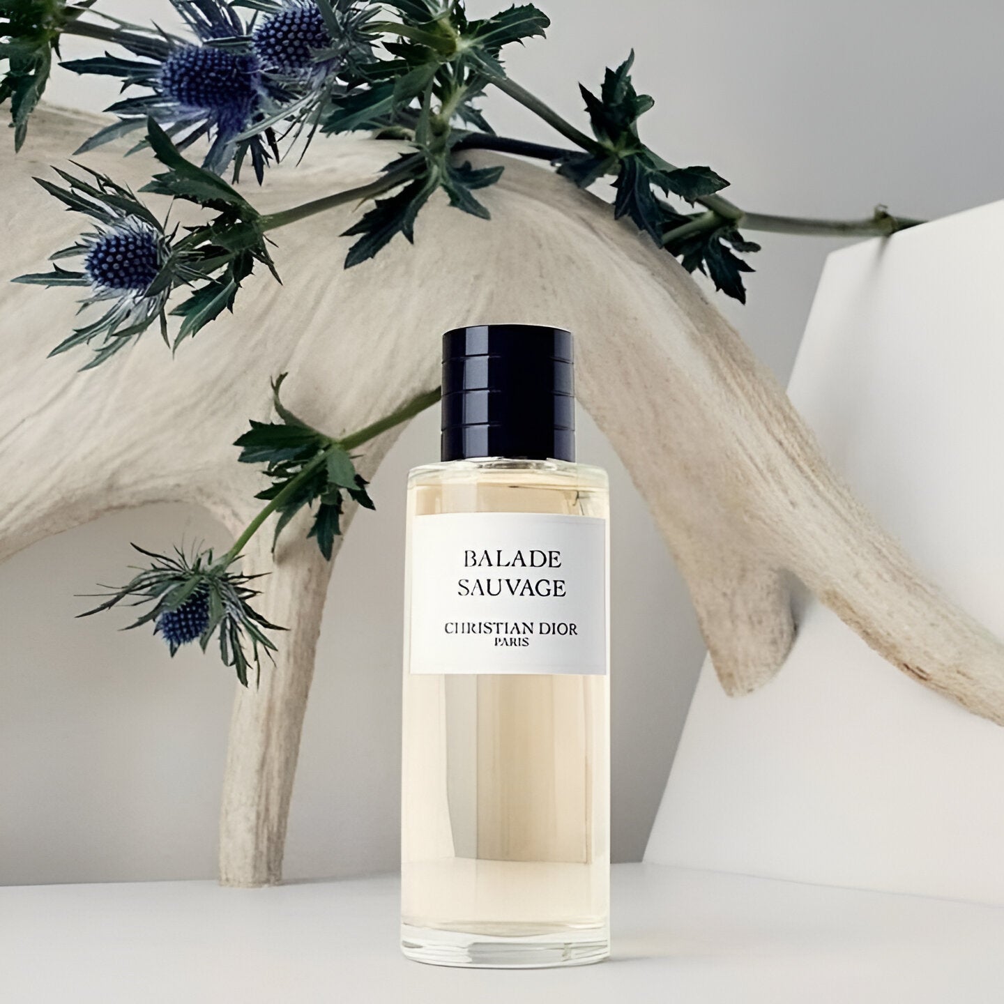 Dior Balade Sauvage Eau de Parfum 125ml